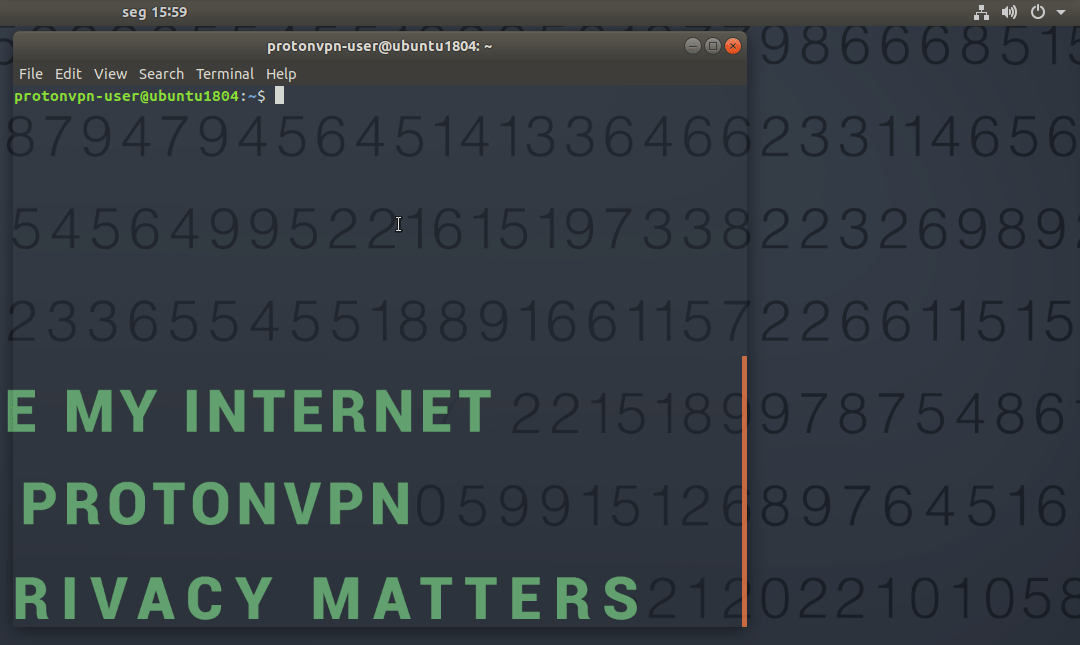 GIP of Proton VPN Linux connect