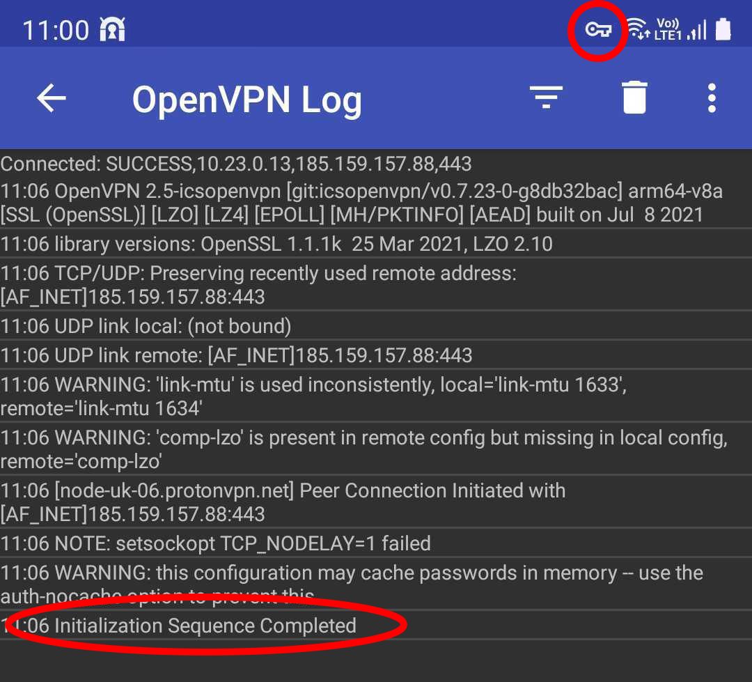 openvpn log