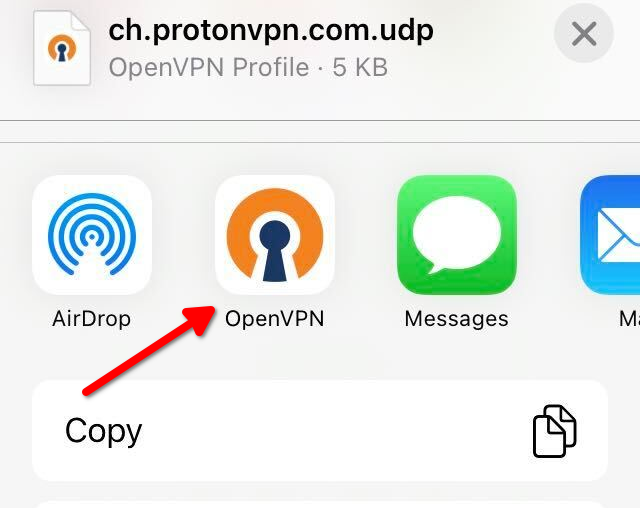 Share OpenVPN profile with OpenVPN Connect