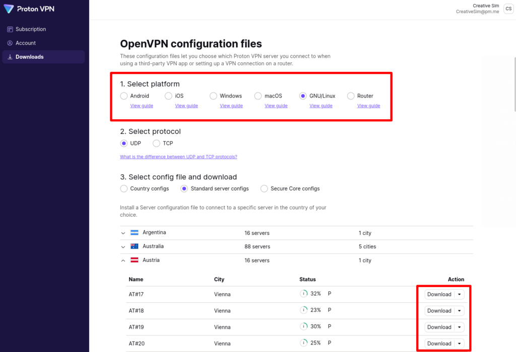 Download OpenVPN config