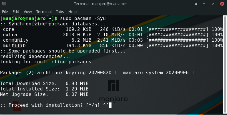 Update Manjaro CLI