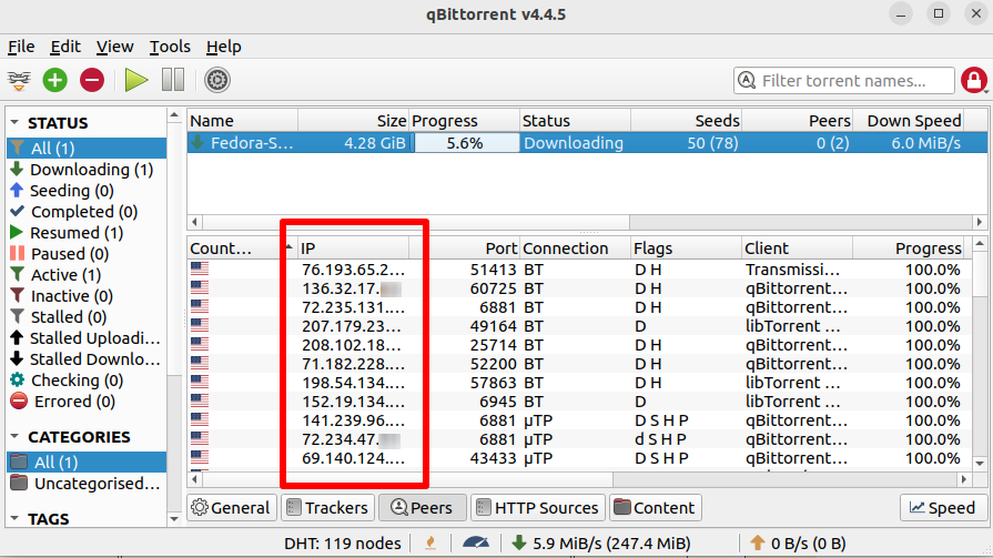 You can usually see IP addresses of your P2P peers